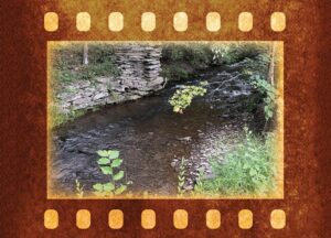 Creekside Dining at Dana's Place Your Hometown Tavern Andes NY