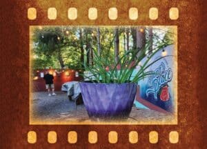 tavern-dining-andes-ny5-min